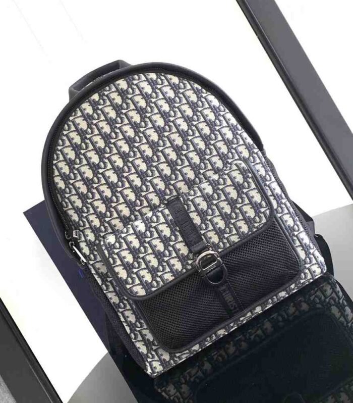 Dior Diorquake Bag Dior Oblique Canvas