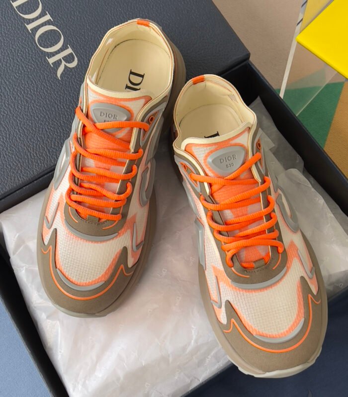 Dior Shoe