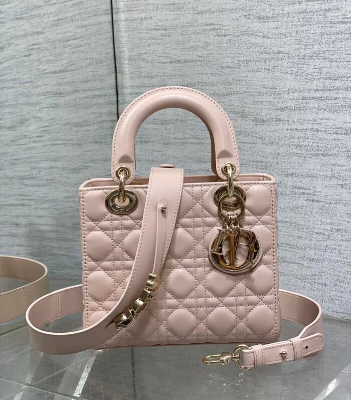 Dior Bag